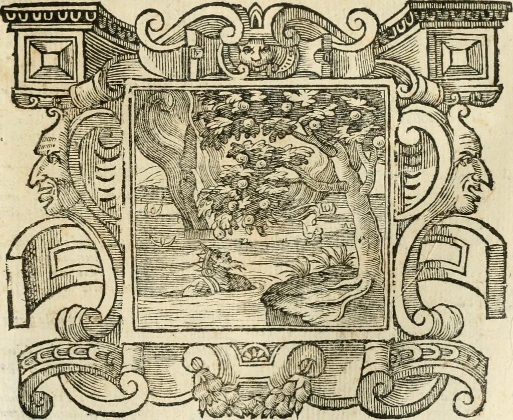 An illustration from Emblemata, 1661, leaf 452