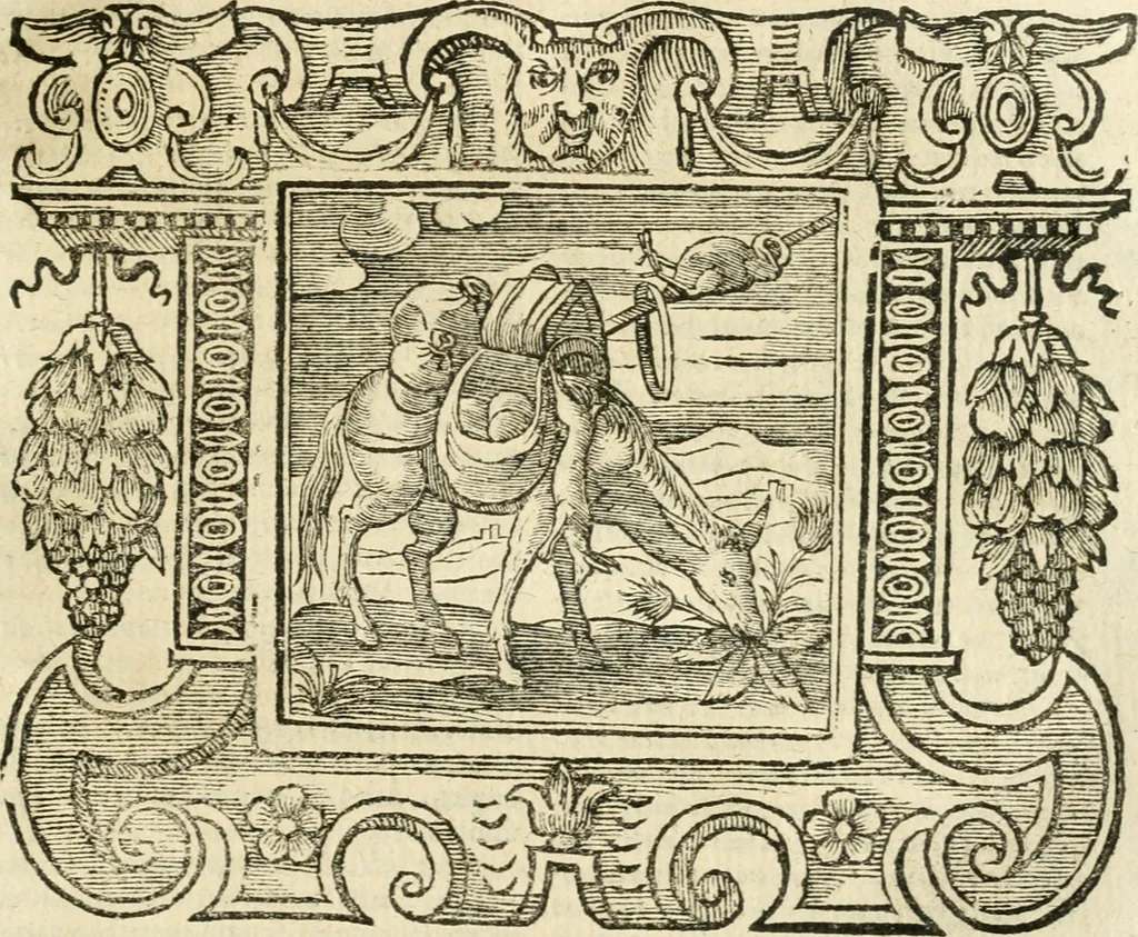 An illustration from Emblemata, 1661, leaf 456