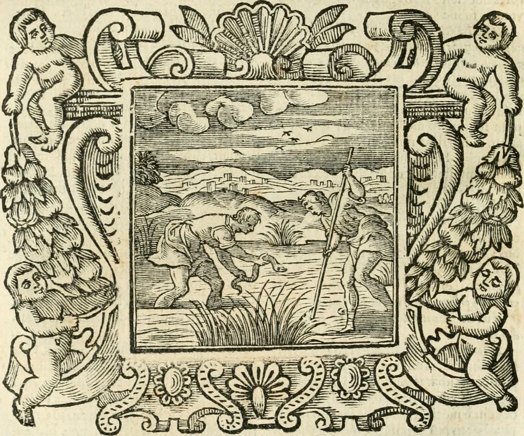 An illustration from Emblemata, 1661, leaf 465