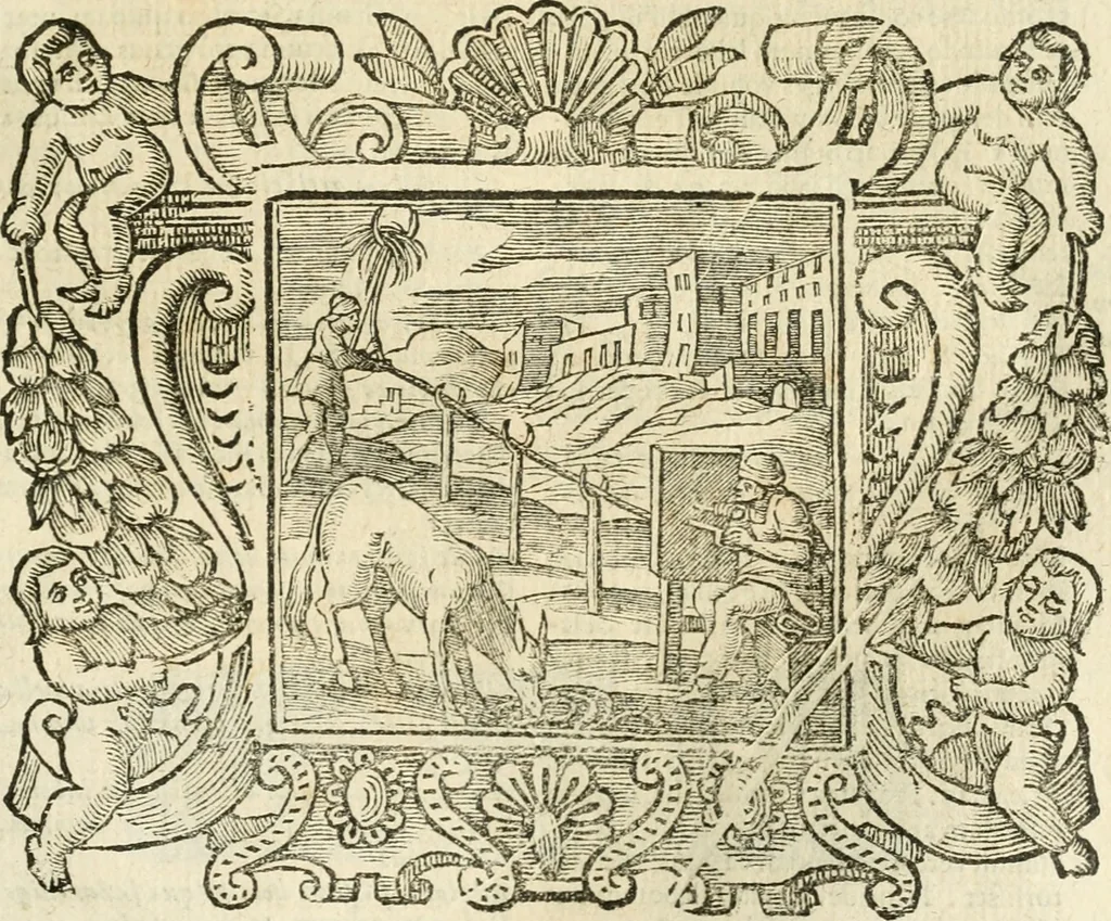 An illustration from Emblemata, 1661, leaf 476