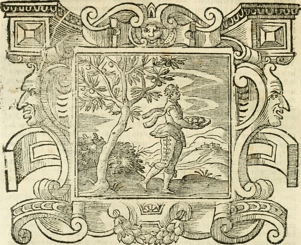 An illustration from Emblemata, 1661, leaf 479
