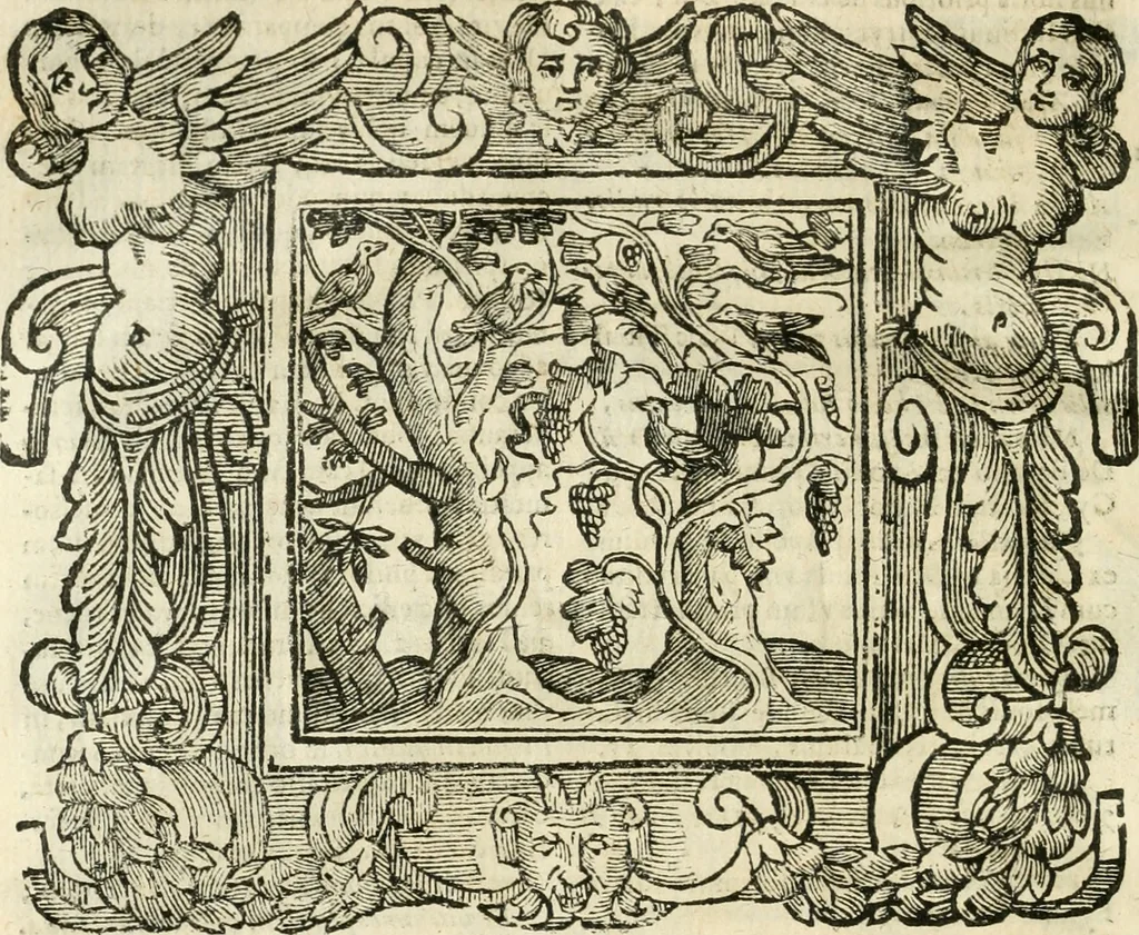 An illustration from Emblemata, 1661, leaf 503