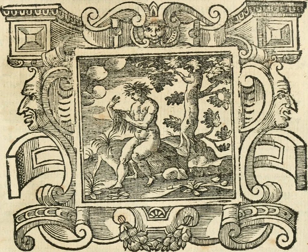 An illustration from Emblemata, 1661, leaf 540