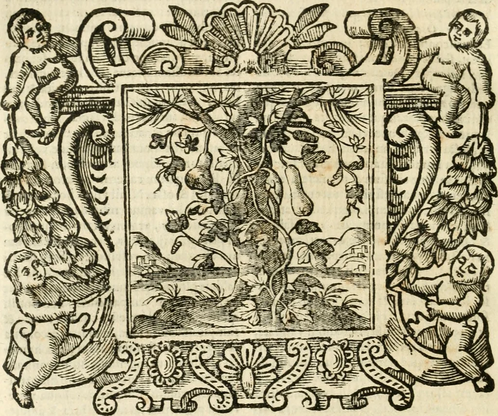 An illustration from Emblemata, 1661, leaf 621