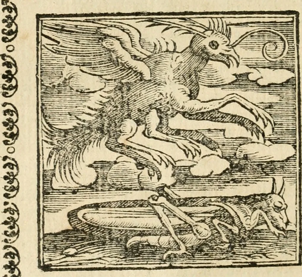 An illustration from Emblemata, 1661, leaf 633