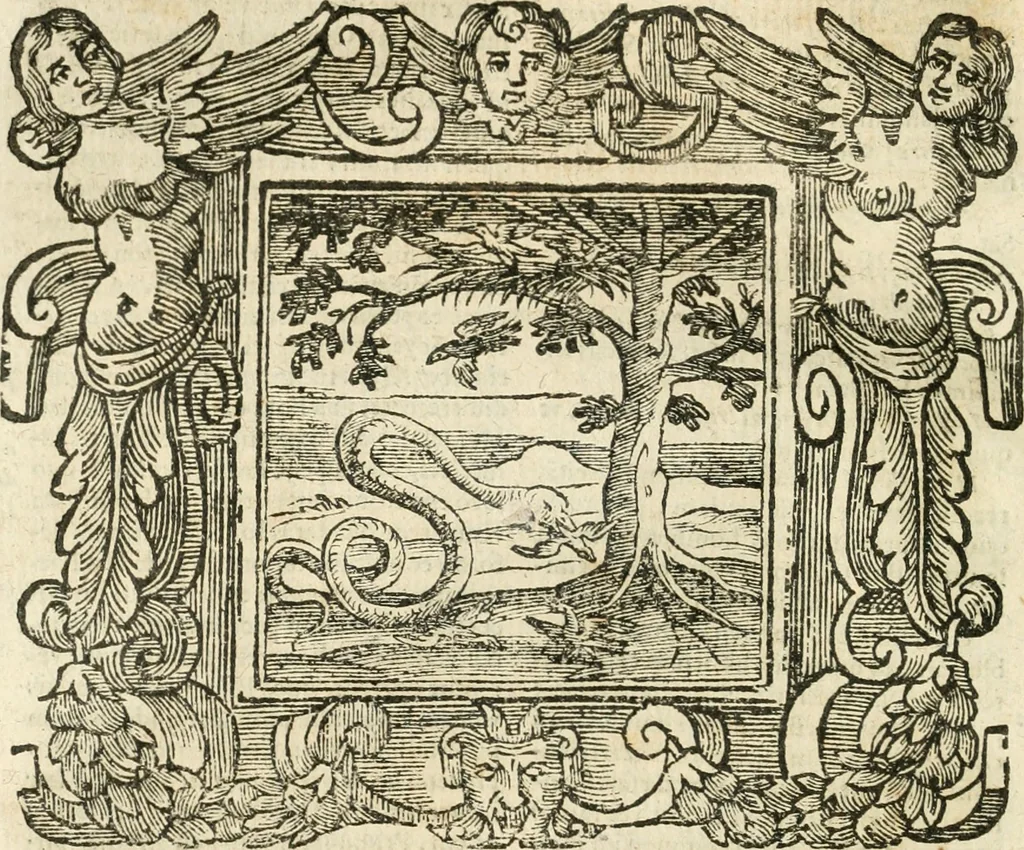 An illustration from Emblemata, 1661, leaf 647