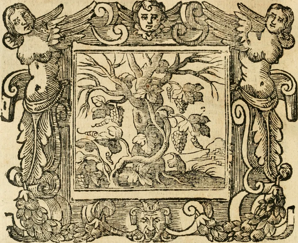 An illustration from Emblemata, 1661, leaf 759