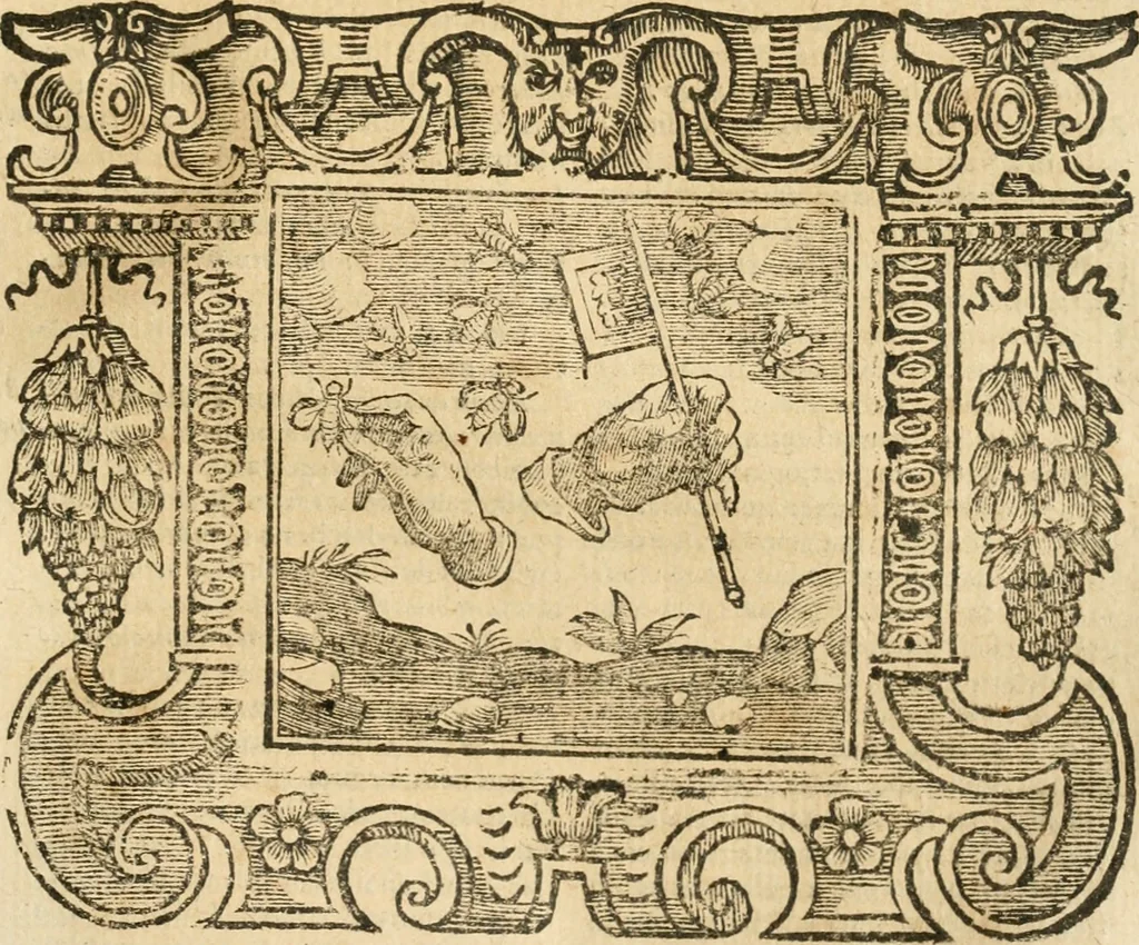 An illustration from Emblemata, 1661, leaf 774