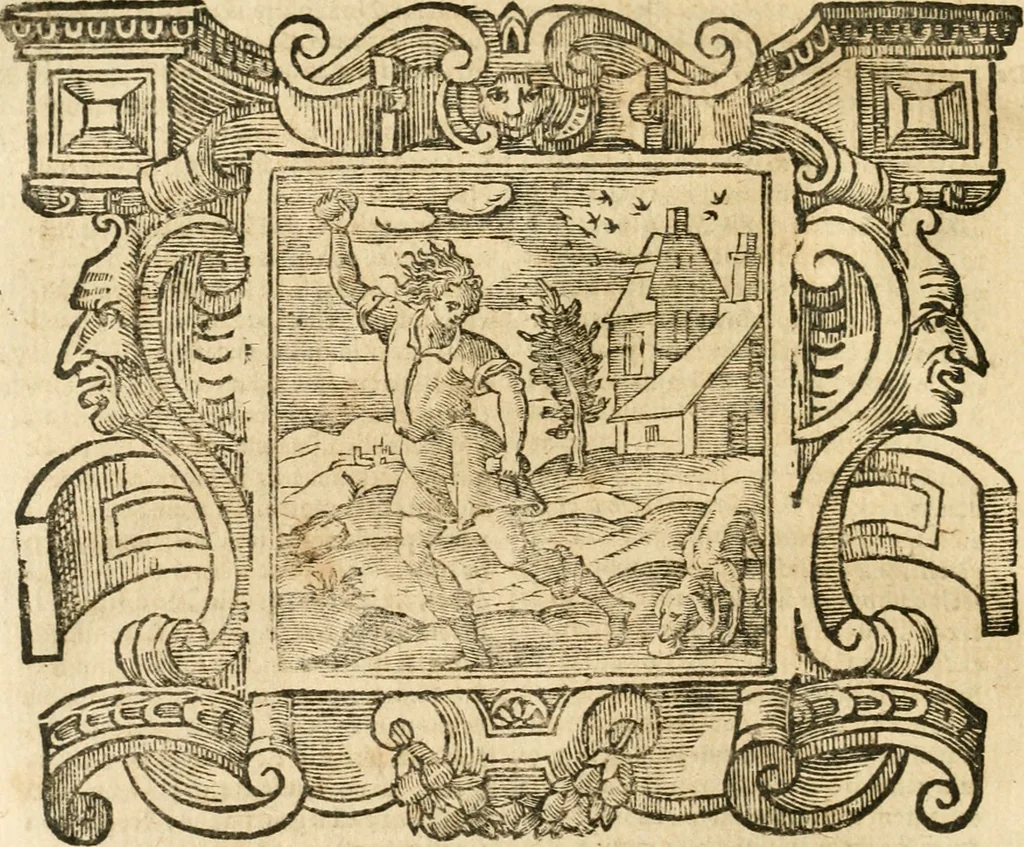 An illustration from Emblemata, 1661, leaf 811
