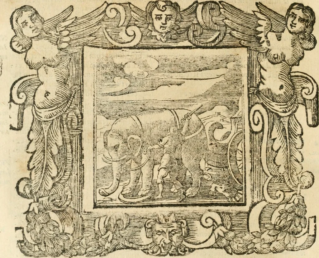 An illustration from Emblemata, 1661, leaf 817