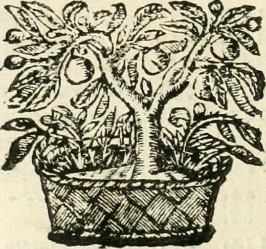 An illustration from Emblemata, 1661, leaf 83