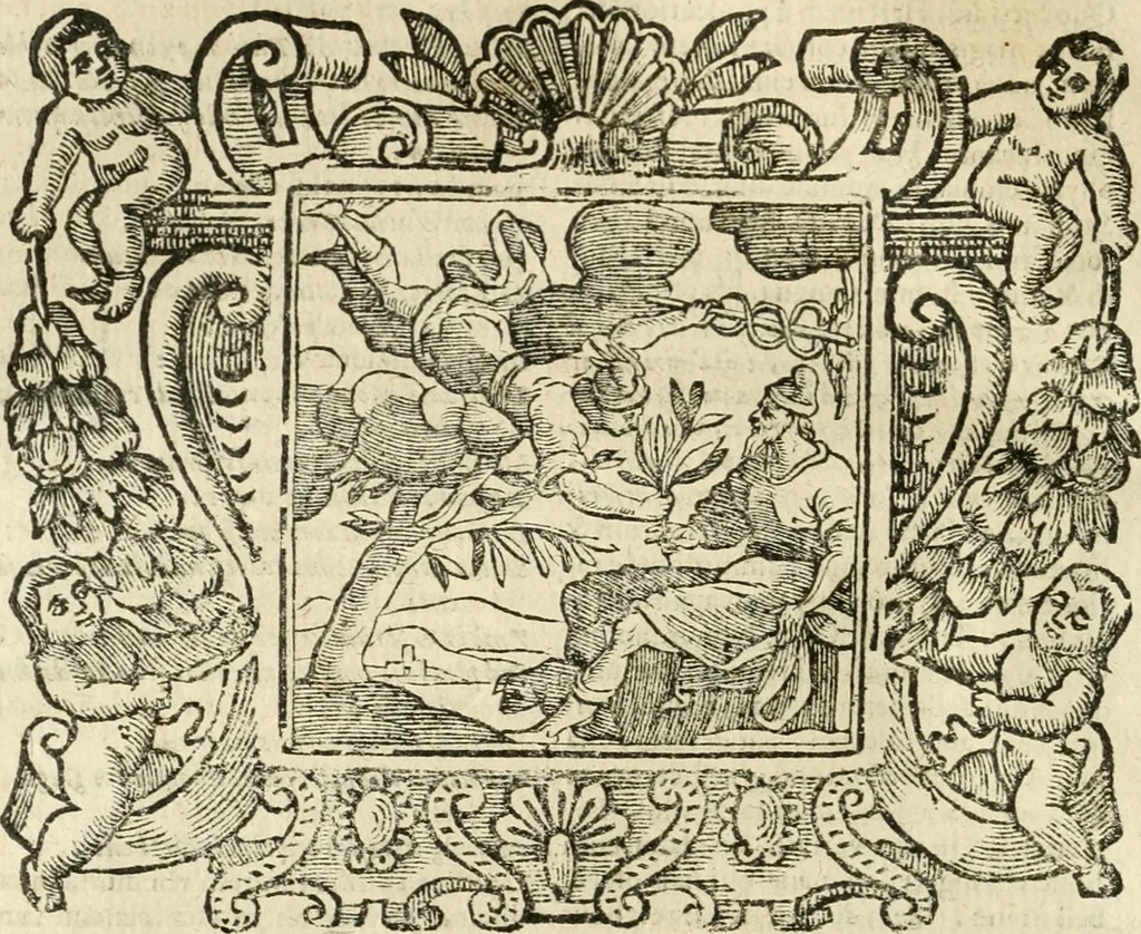 An illustration from Emblemata, 1661, leaf 841