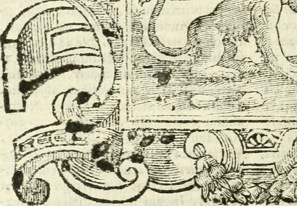 An illustration from Emblemata, 1661, leaf 879