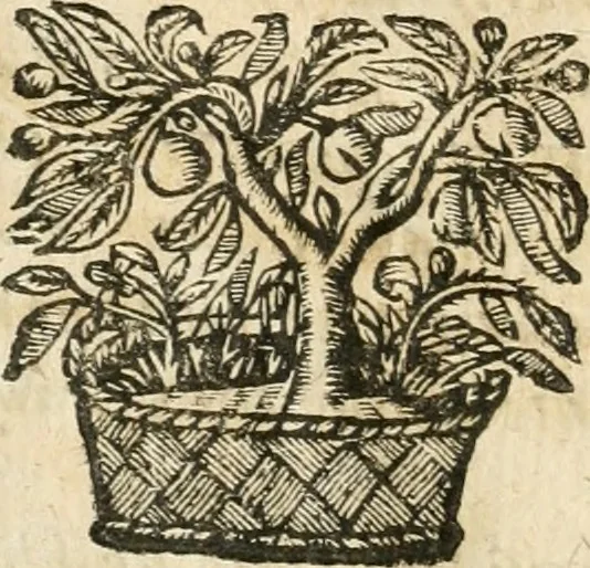 An illustration from Emblemata, 1661, leaf 9