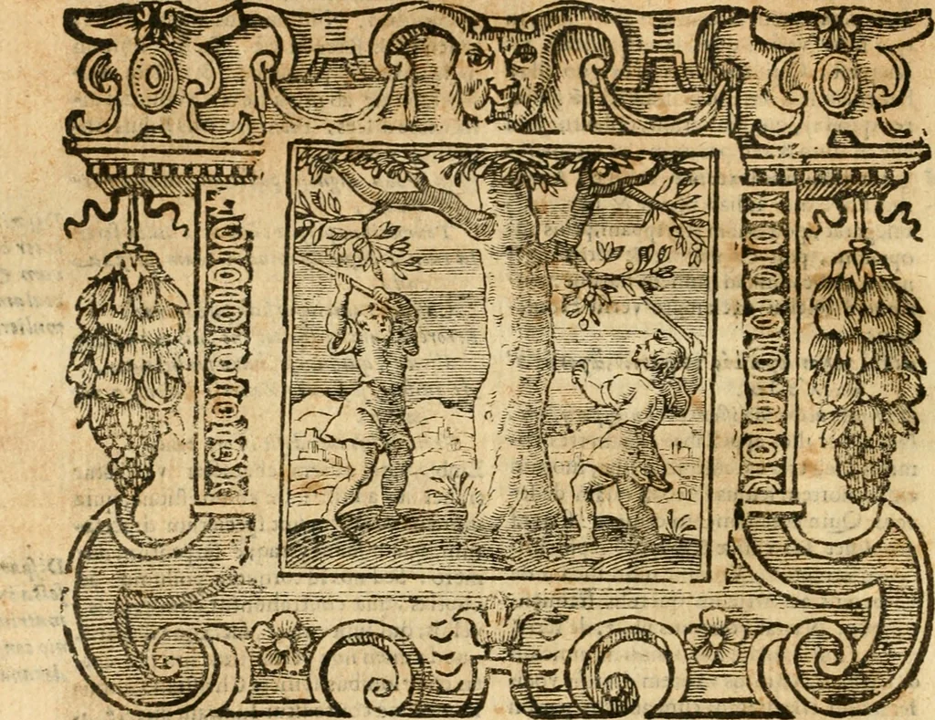 An illustration from Emblemata, 1661, leaf 905
