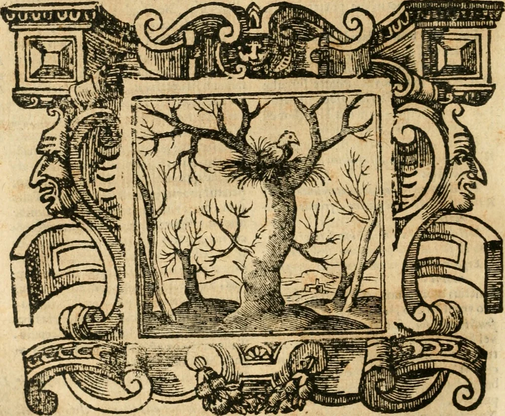 An illustration from Emblemata, 1661, leaf 907