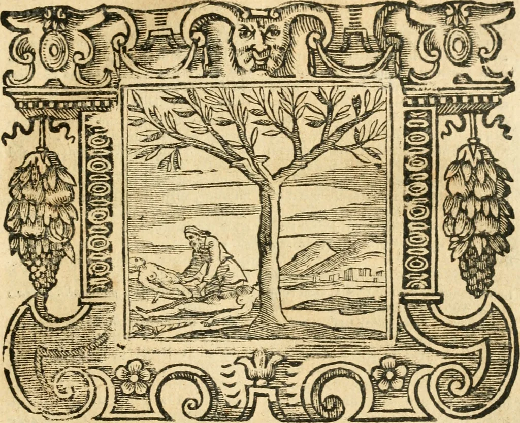 An illustration from Emblemata, 1661, leaf 938