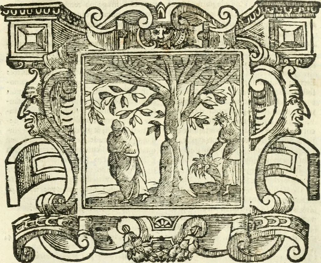 An illustration from Emblemata, 1661, leaf 962