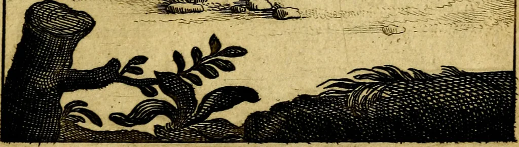 An illustration from Emblemata amatoria : emblemes d'amour en quatre langue [i.e. langues], 1690, leaf 180