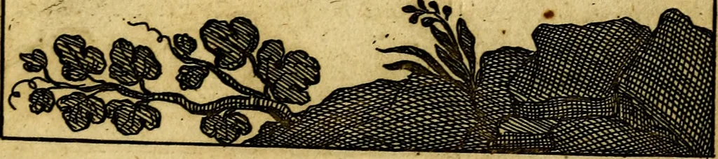 An illustration from Emblemata amatoria : emblemes d'amour en quatre langue [i.e. langues], 1690, leaf 184