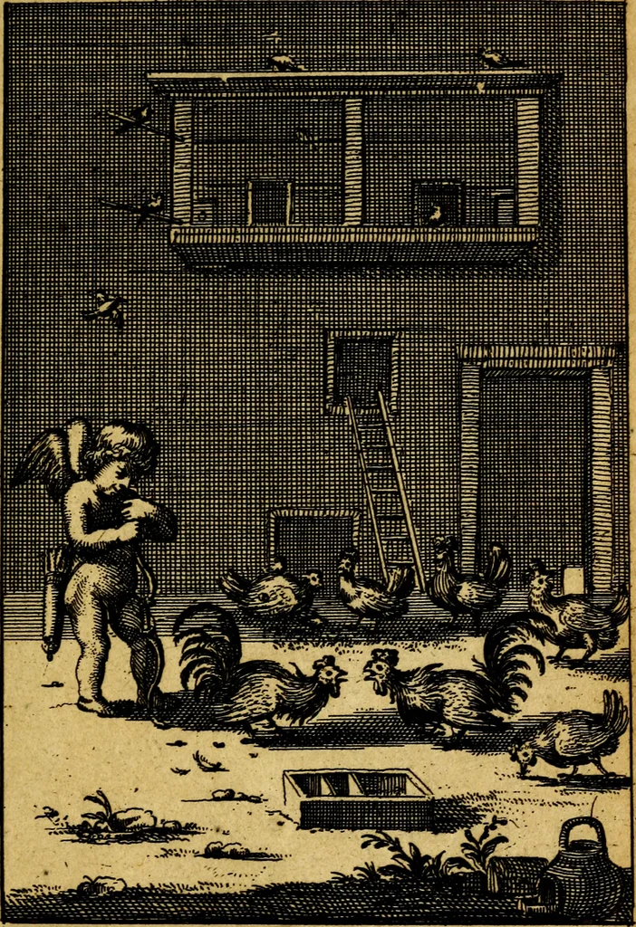 An illustration from Emblemata amatoria : emblemes d'amour en quatre langue [i.e. langues], 1690, leaf 54