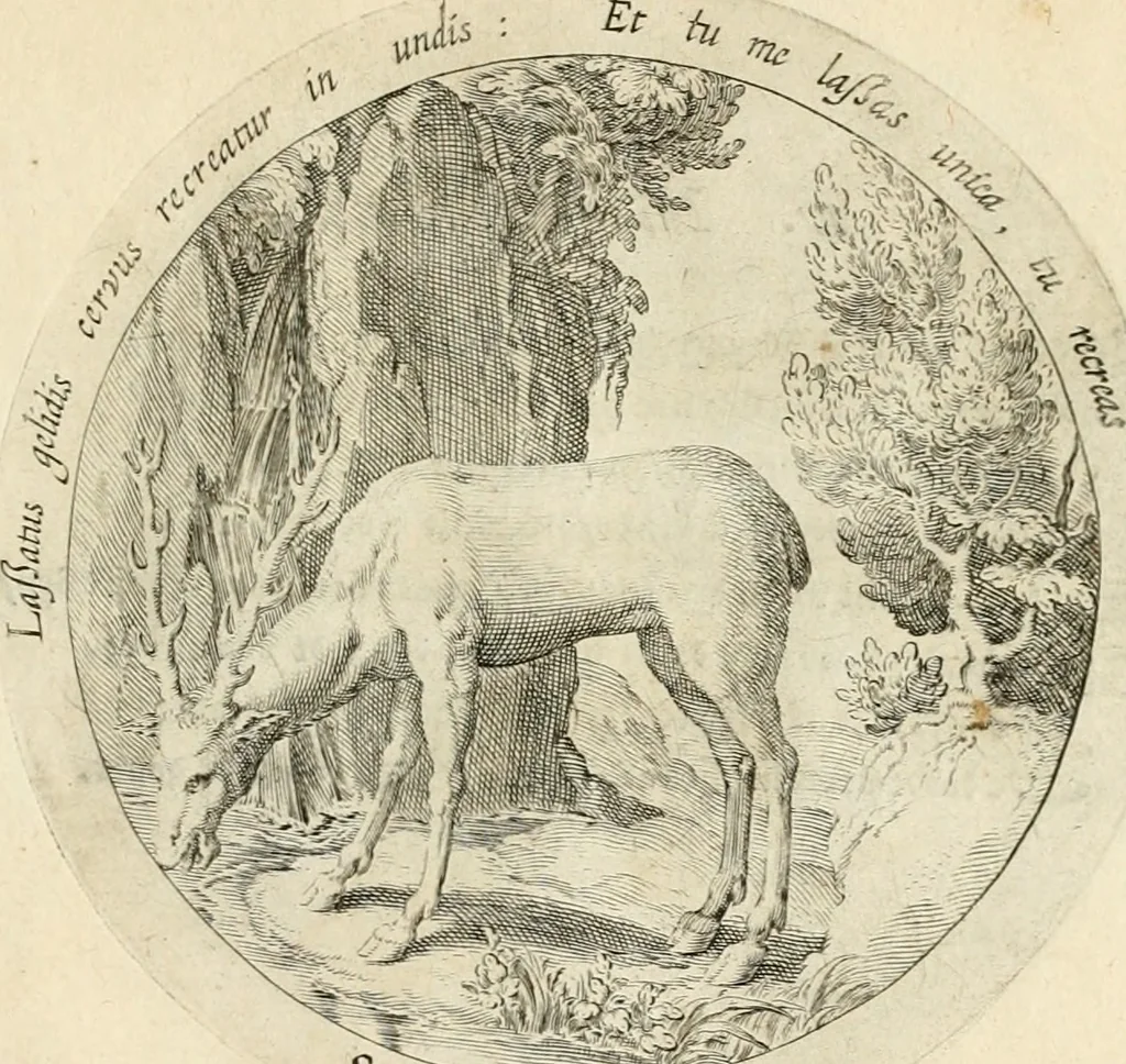 An illustration from Emblemata amatoria, iam demum emendata, 1608, leaf 48