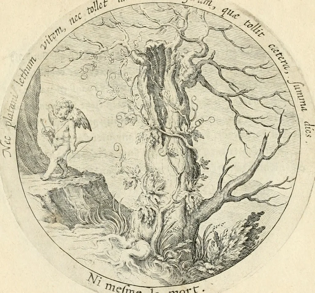 An illustration from Emblemata amatoria, iam demum emendata, 1608, leaf 50
