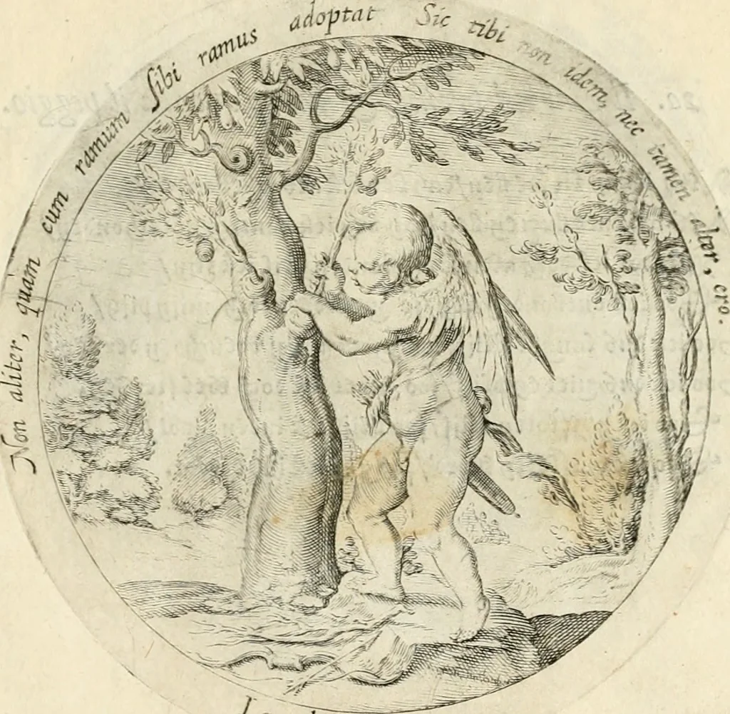 An illustration from Emblemata amatoria, iam demum emendata, 1608, leaf 54