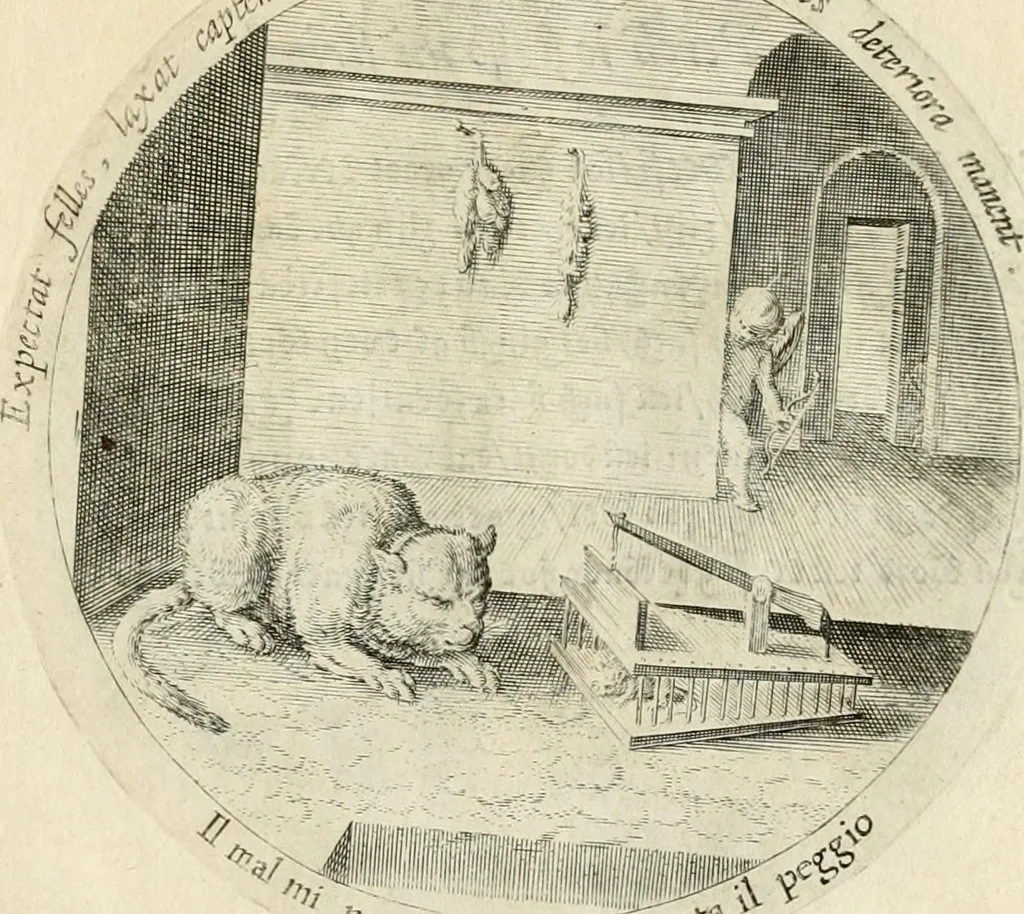 An illustration from Emblemata amatoria, iam demum emendata, 1608, leaf 56