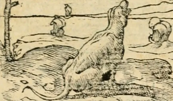 An illustration from Emblemata Andreae Alciati, iurisconsulti clarissimi, 1548, leaf 10