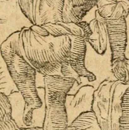 An illustration from Emblemata Andreae Alciati, iurisconsulti clarissimi, 1548, leaf 102