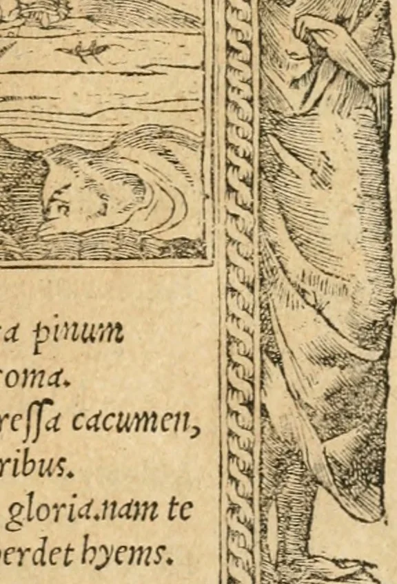 An illustration from Emblemata Andreae Alciati, iurisconsulti clarissimi, 1548, leaf 106