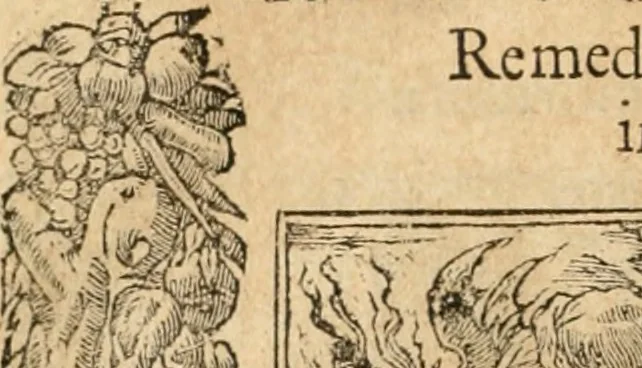 An illustration from Emblemata Andreae Alciati, iurisconsulti clarissimi, 1548, leaf 109