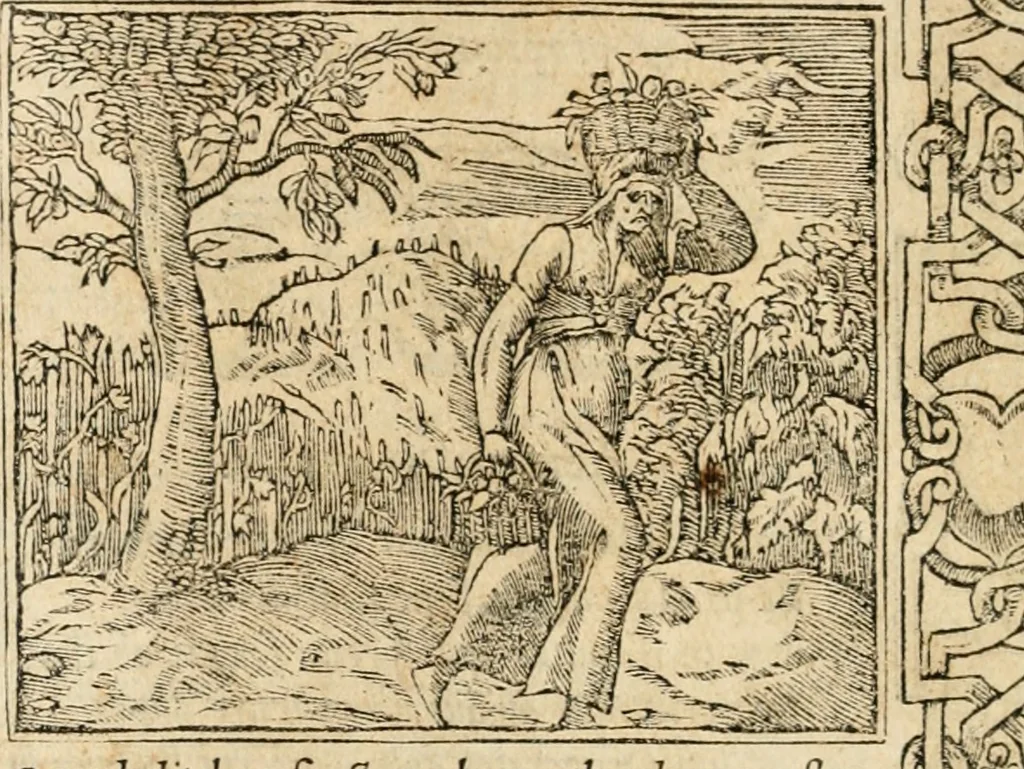 An illustration from Emblemata Andreae Alciati, iurisconsulti clarissimi, 1548, leaf 117