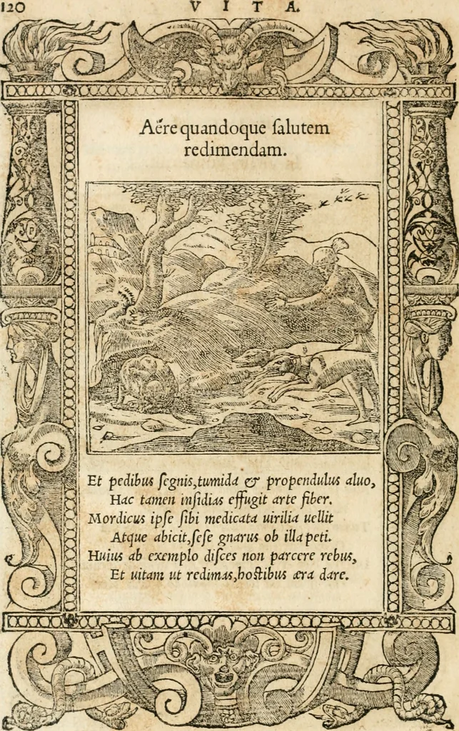 An illustration from Emblemata Andreae Alciati, iurisconsulti clarissimi, 1548, leaf 123