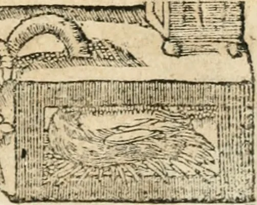 An illustration from Emblemata Andreae Alciati, iurisconsulti clarissimi, 1548, leaf 128