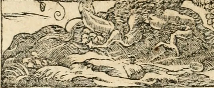 An illustration from Emblemata Andreae Alciati, iurisconsulti clarissimi, 1548, leaf 129