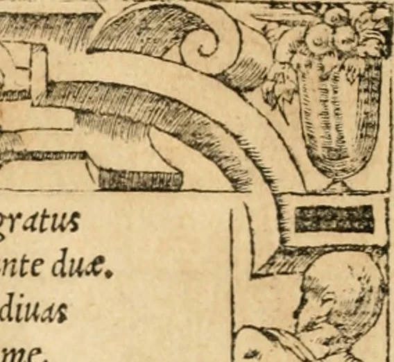 An illustration from Emblemata Andreae Alciati, iurisconsulti clarissimi, 1548, leaf 133