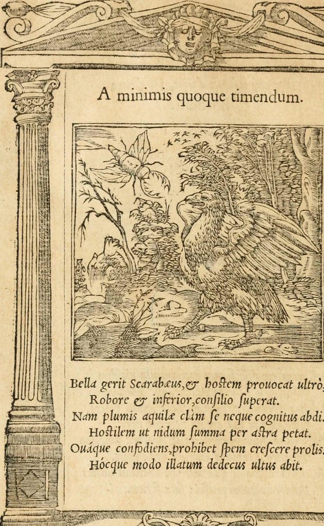 An illustration from Emblemata Andreae Alciati, iurisconsulti clarissimi, 1548, leaf 137