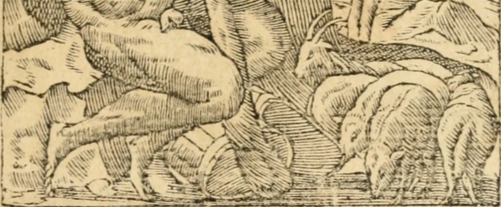 An illustration from Emblemata Andreae Alciati, iurisconsulti clarissimi, 1548, leaf 138