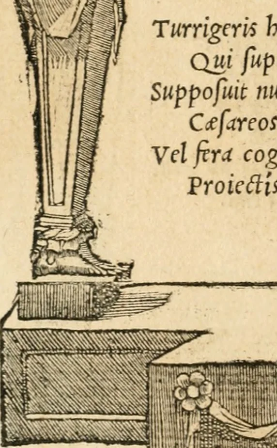 An illustration from Emblemata Andreae Alciati, iurisconsulti clarissimi, 1548, leaf 143