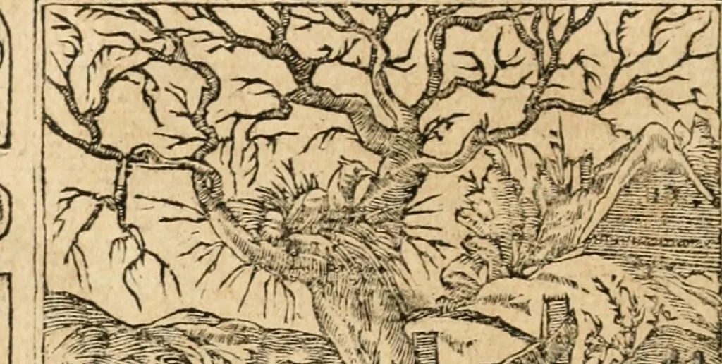 An illustration from Emblemata Andreae Alciati, iurisconsulti clarissimi, 1548, leaf 159