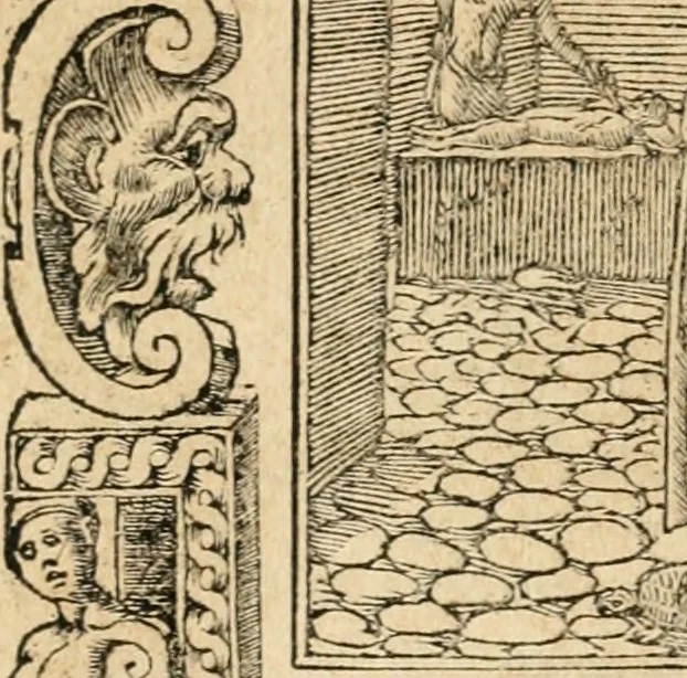 An illustration from Emblemata Andreae Alciati, iurisconsulti clarissimi, 1548, leaf 161