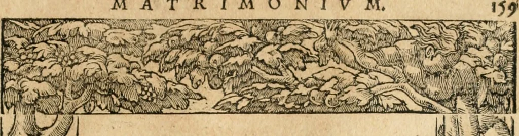 An illustration from Emblemata Andreae Alciati, iurisconsulti clarissimi, 1548, leaf 162