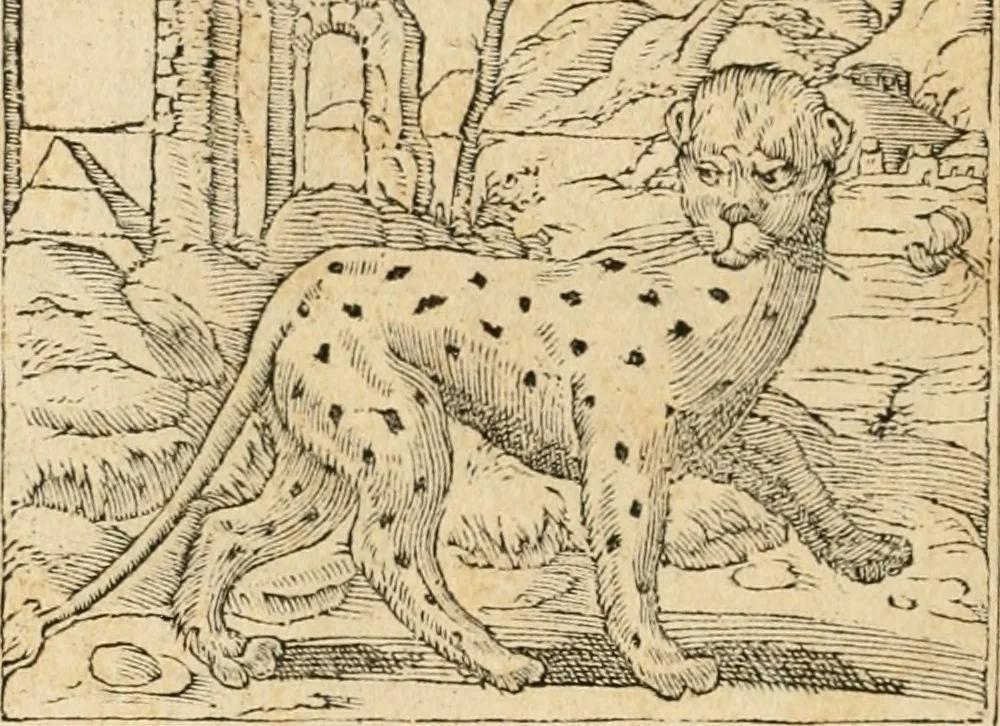 An illustration from Emblemata Andreae Alciati, iurisconsulti clarissimi, 1548, leaf 19