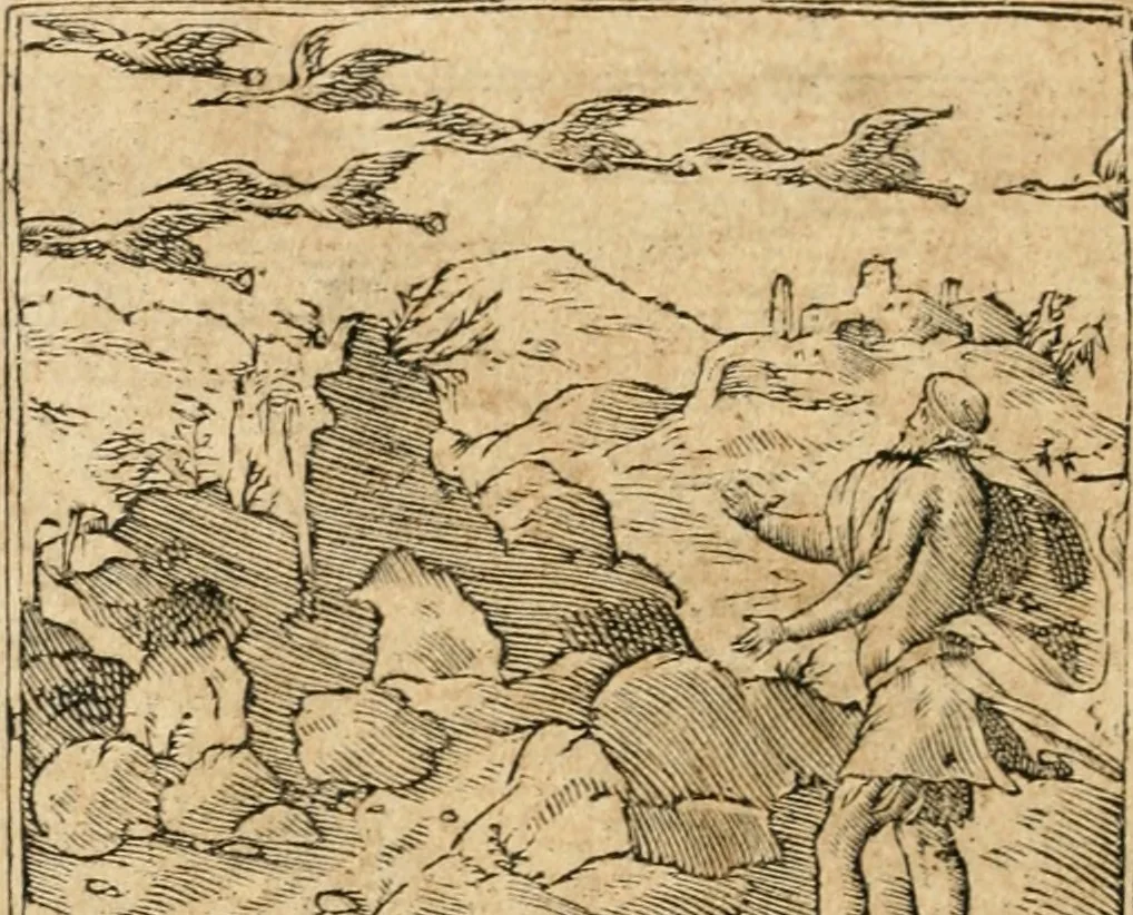 An illustration from Emblemata Andreae Alciati, iurisconsulti clarissimi, 1548, leaf 23