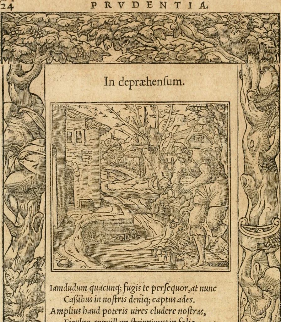 An illustration from Emblemata Andreae Alciati, iurisconsulti clarissimi, 1548, leaf 27