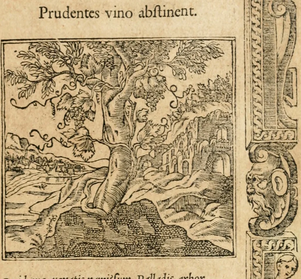 An illustration from Emblemata Andreae Alciati, iurisconsulti clarissimi, 1548, leaf 30