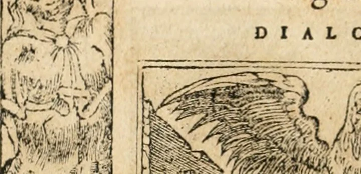 An illustration from Emblemata Andreae Alciati, iurisconsulti clarissimi, 1548, leaf 39
