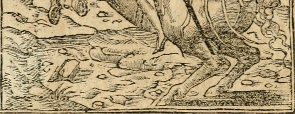 An illustration from Emblemata Andreae Alciati, iurisconsulti clarissimi, 1548, leaf 41